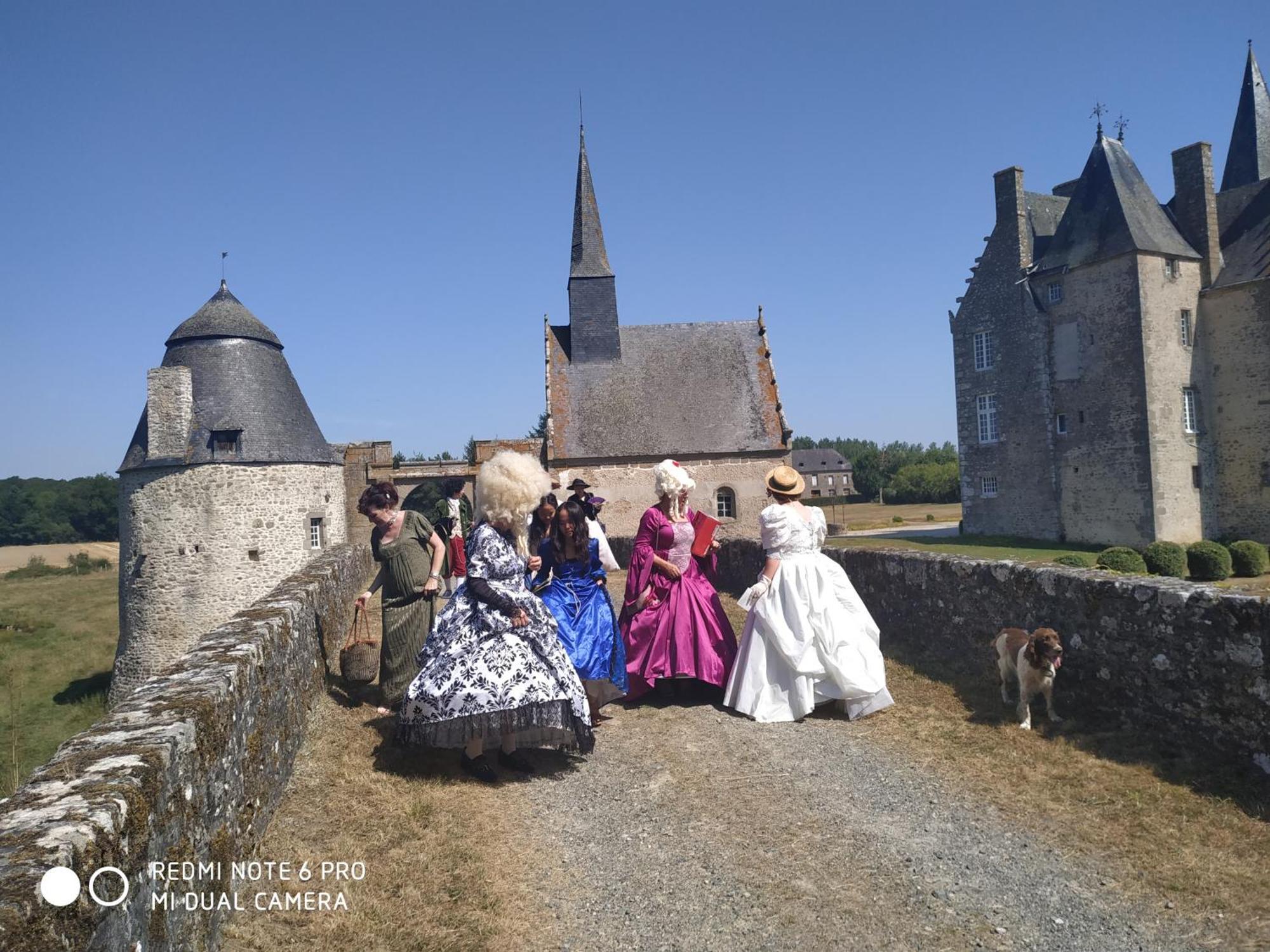 Chateau De Bourgon Montourtier Zewnętrze zdjęcie
